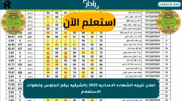 إعلان نتيجة الشهادة الإعدادية 2025 بالشرقية برقم الجلوس وخطوات الاستعلام